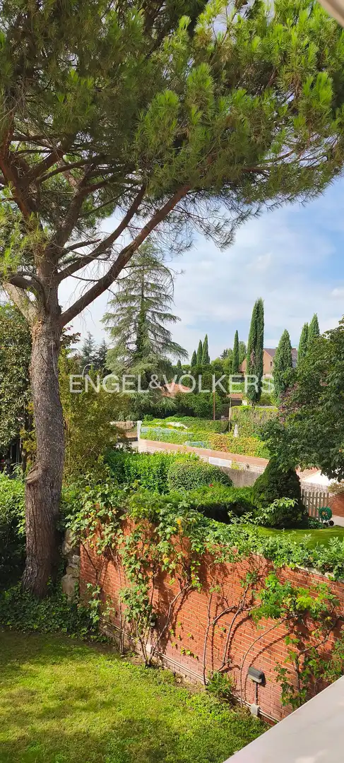 Vista exterior de Casa o chalet en venta en Madrid con Aire acondicionado, Calefacción y Jardín privado