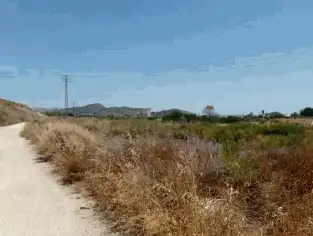 Terreno rustico in vendita a El Secanet - Hacienda del Sol, imagen 3