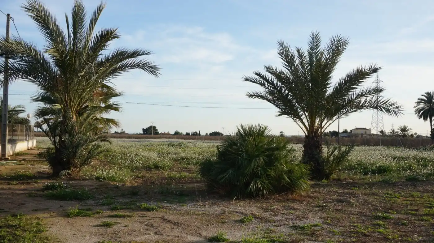 Terreno residencial en venta en Las Bayas, imagen 14