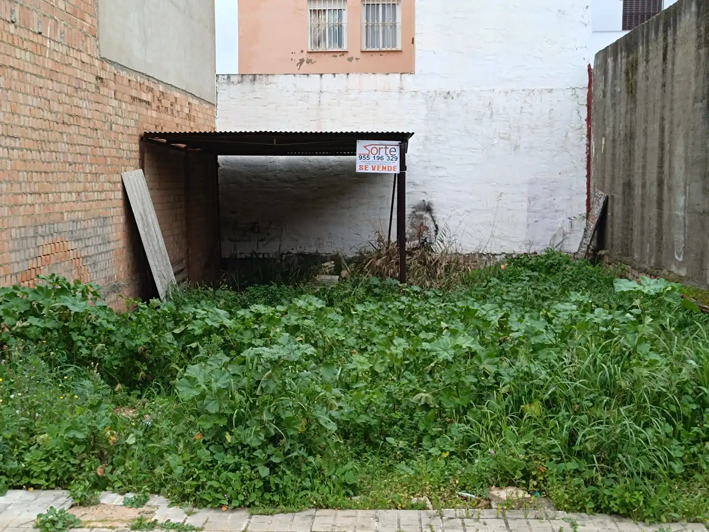 Terrenys i solars en venda a Calle Antonoi Perez Perez