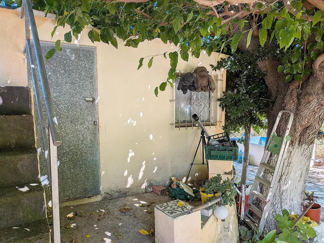 Terreny rústic en venda a La Foia, imagen 17