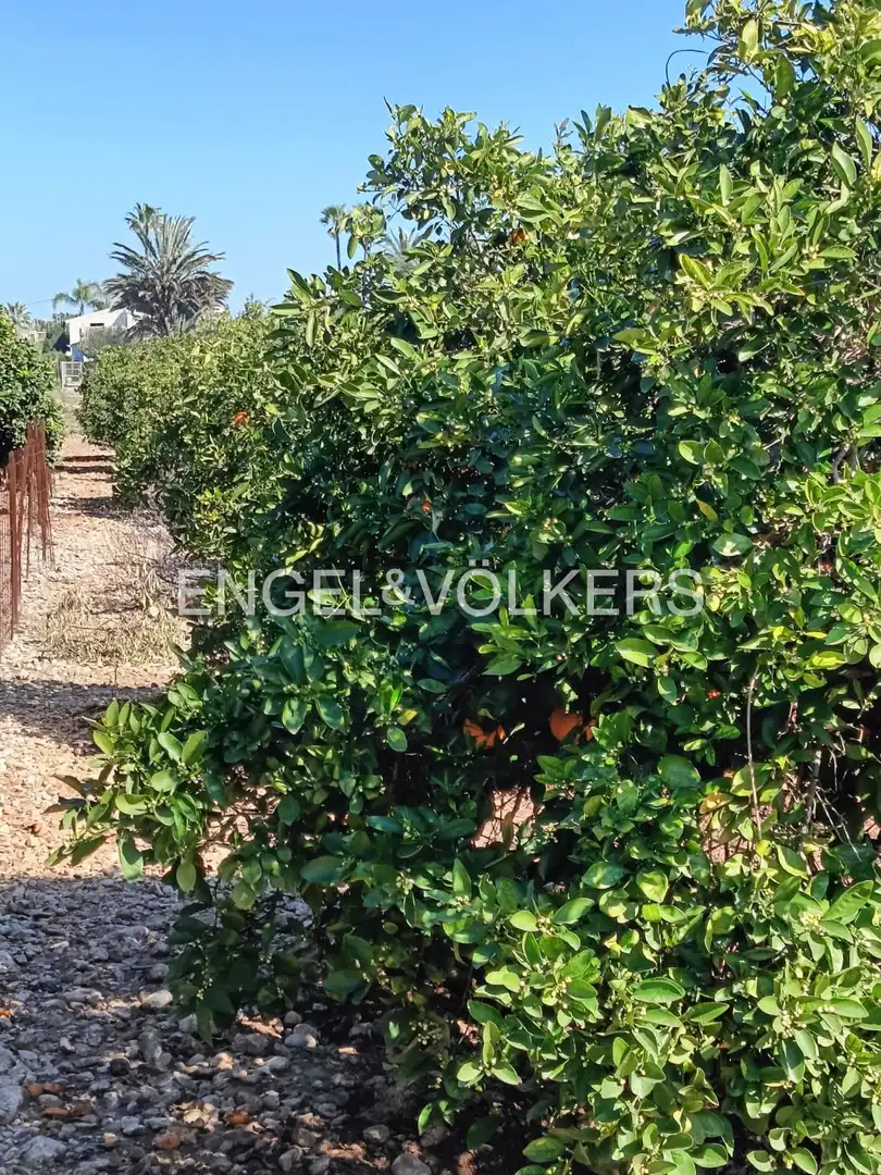 Lands and plots for sale in Els Poblets, imagen 5