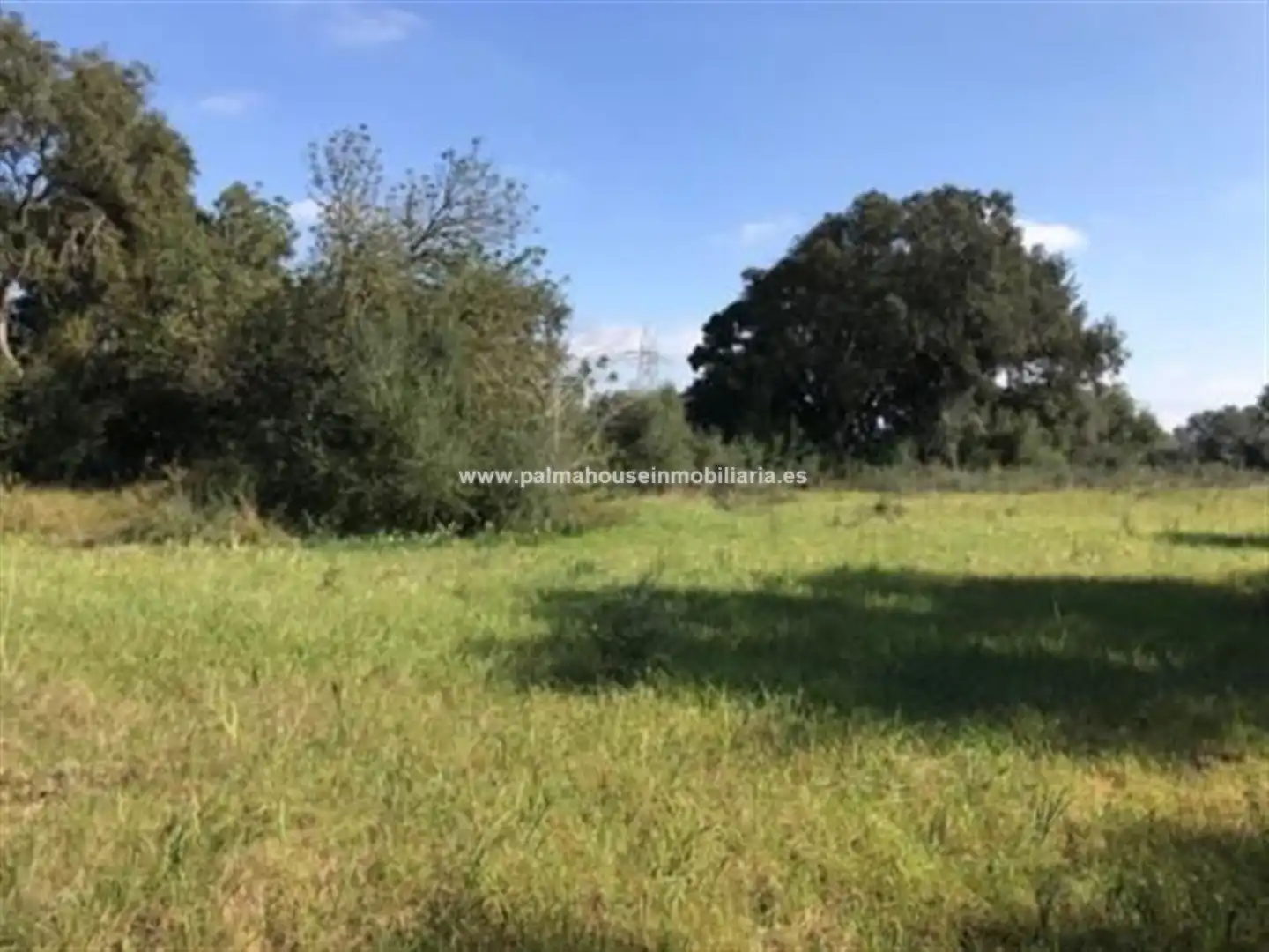 Wohnbaugrundstück zum Verkauf in Llubí, imagen 19