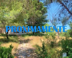 Casa o xalet en venda en Orihuela amb Jardí privat, Terrassa i Piscina