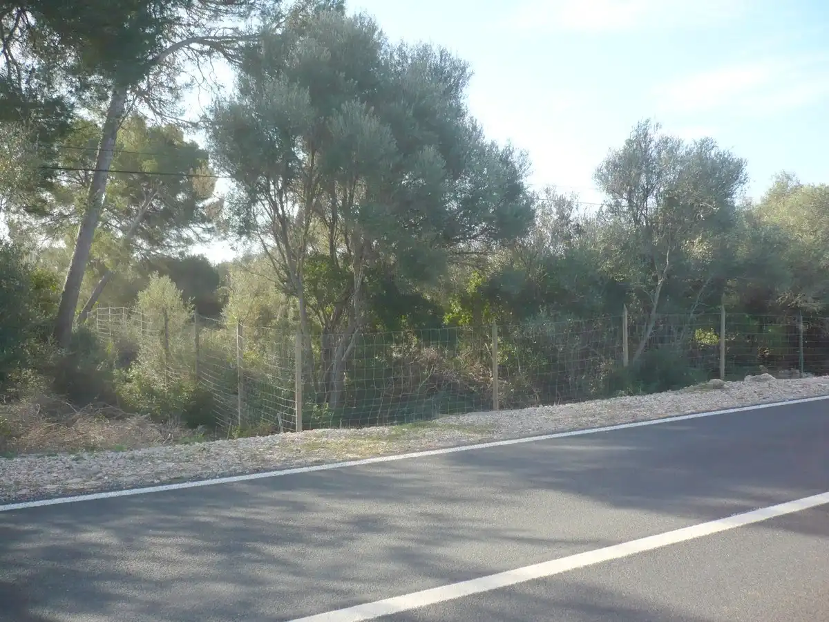 Terreno rustico in vendita a Ma-6014 Km 24, imagen 9