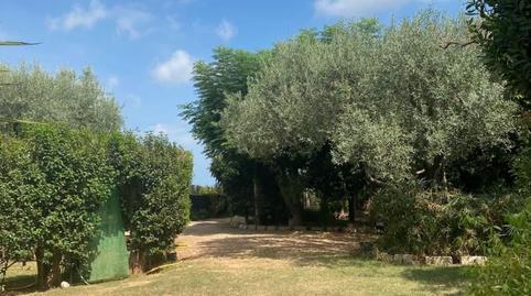 Photo 2 of House or chalet for sale in Les Alqueries / Alquerías del Niño Perdido, Castellón