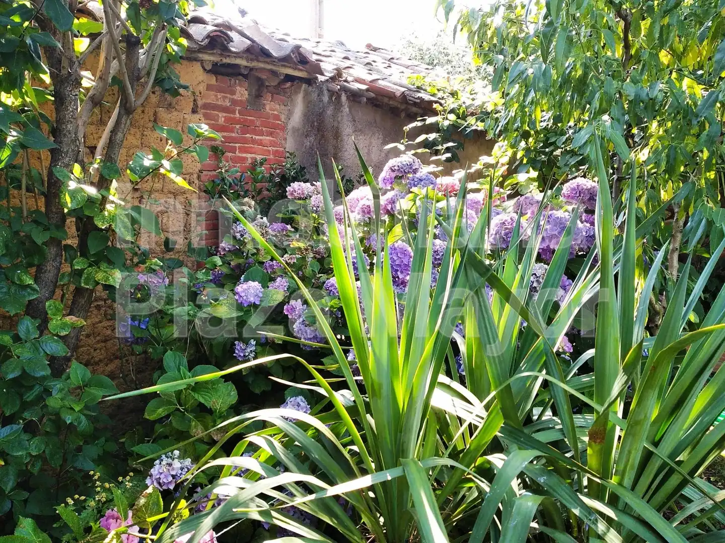 Jardí de Casa o xalet en venda en Aldehuela de Yeltes amb Jardí privat