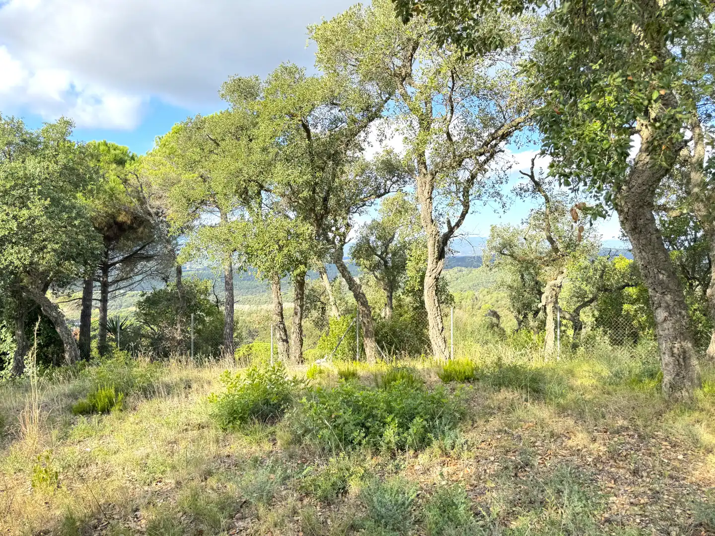 Wohnbaugrundstück zum Verkauf in Carrer Sensitiva, imagen 3