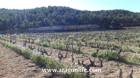 Photo 5 of Country house for sale in N/a, Nonaspe, Zaragoza