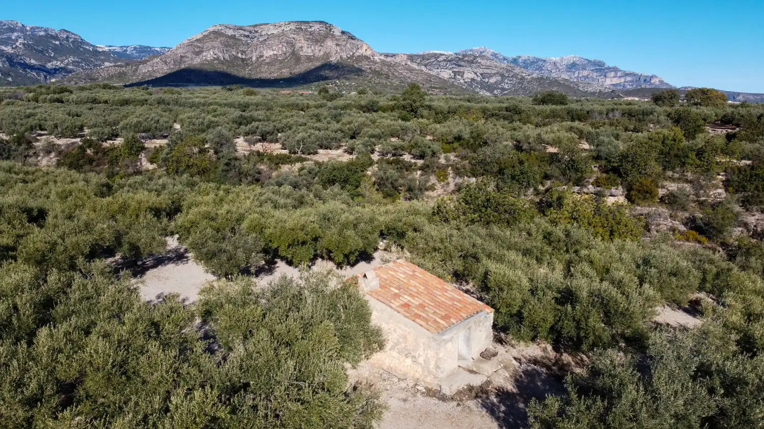 Terreno en venta en Mas de Barberans