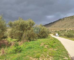 Land for sale in Bellús