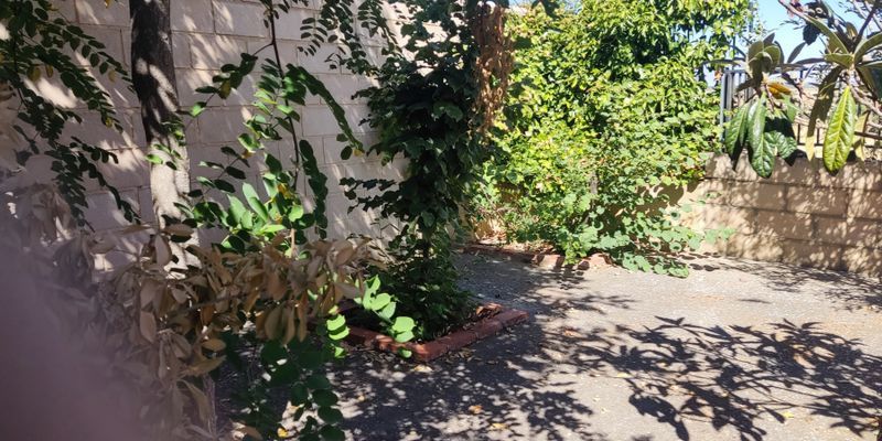 Garden of Country house for sale in Valderas  with Terrace, Storage room and Furnished
