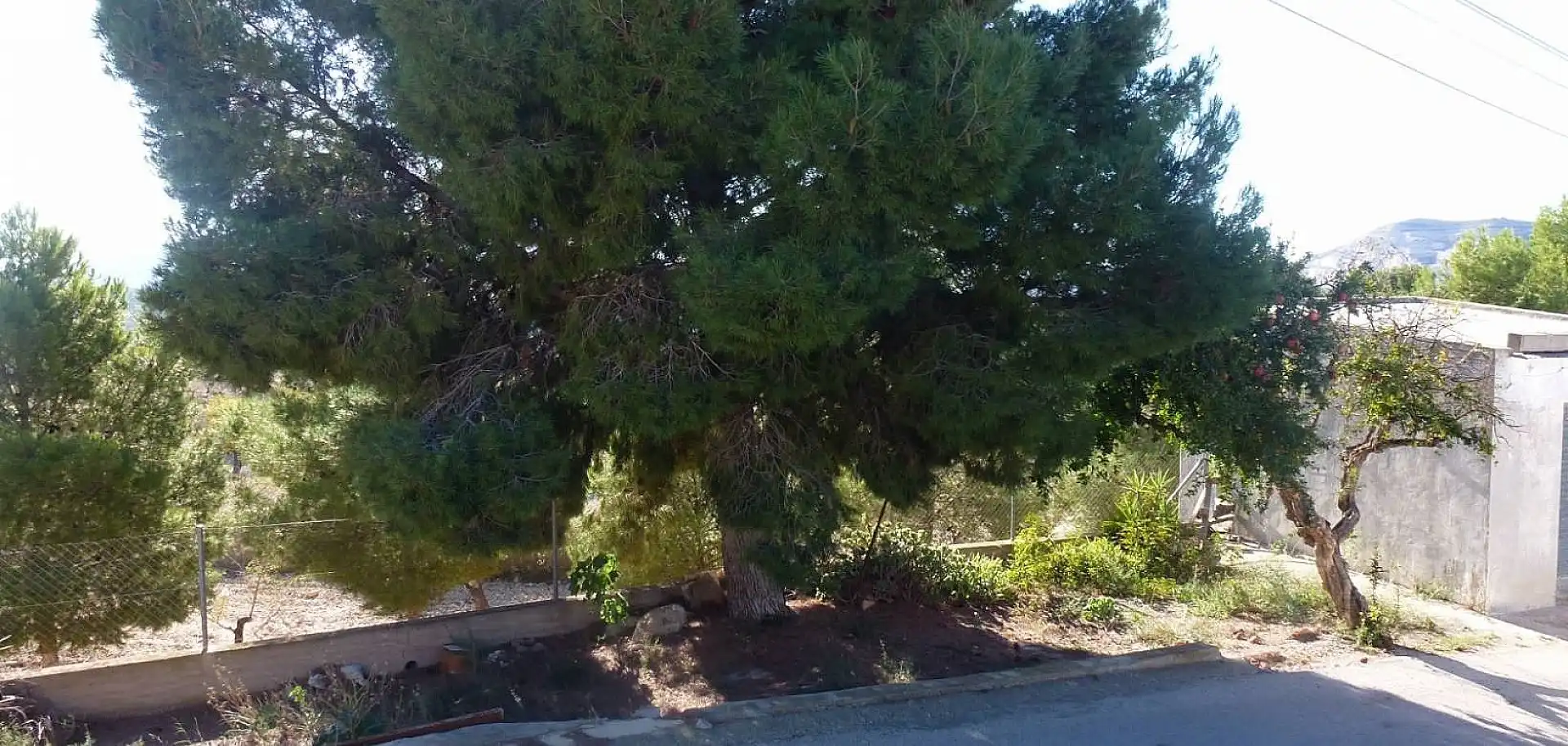 Casa rustica in vendita a Hondón de las Nieves / El Fondó de les Neus, imagen 5
