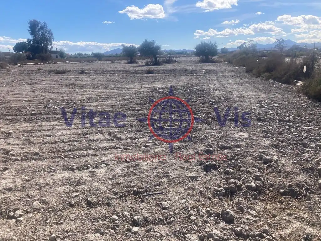 Terreny residencial en venda a Diseminados Cazalla, imagen 3