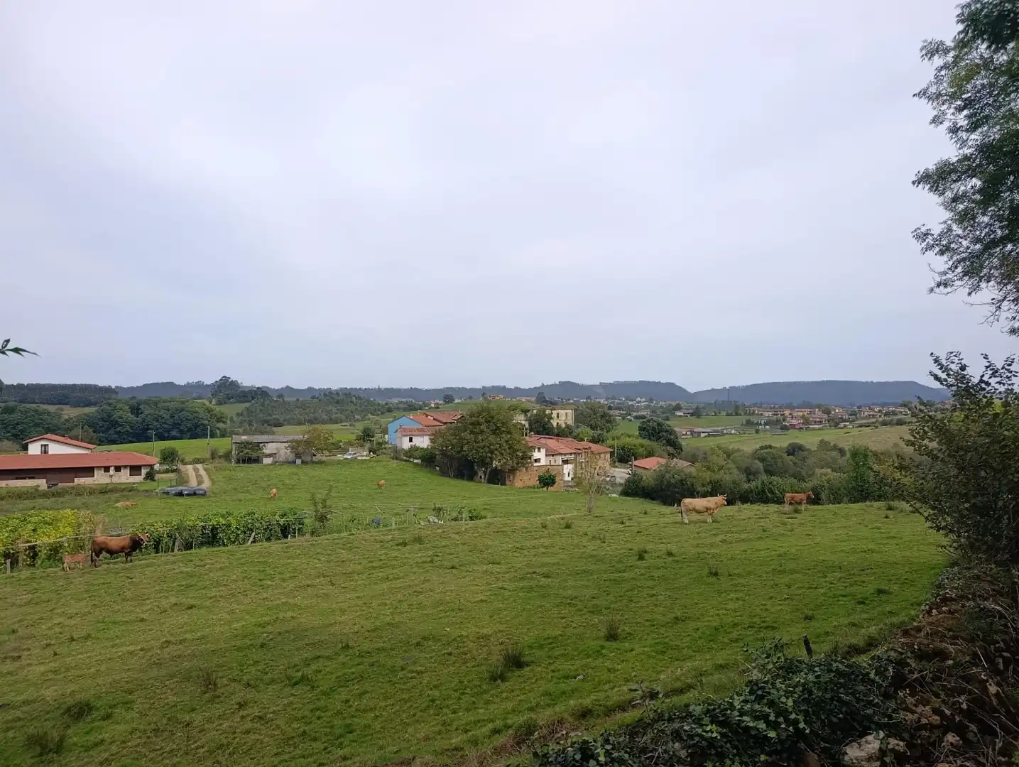 Rustikales Grundstück zum Verkauf in Carretera Piñera (Noriega) 0, imagen 57