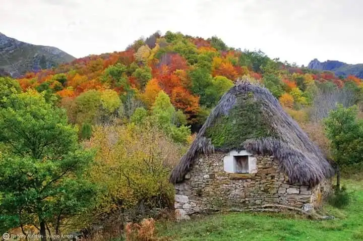 Maison rustique à vendre à Somiedo, imagen 31