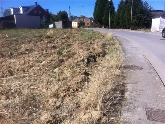 Terreni e lotti in vendita a Camponaraya, imagen 3