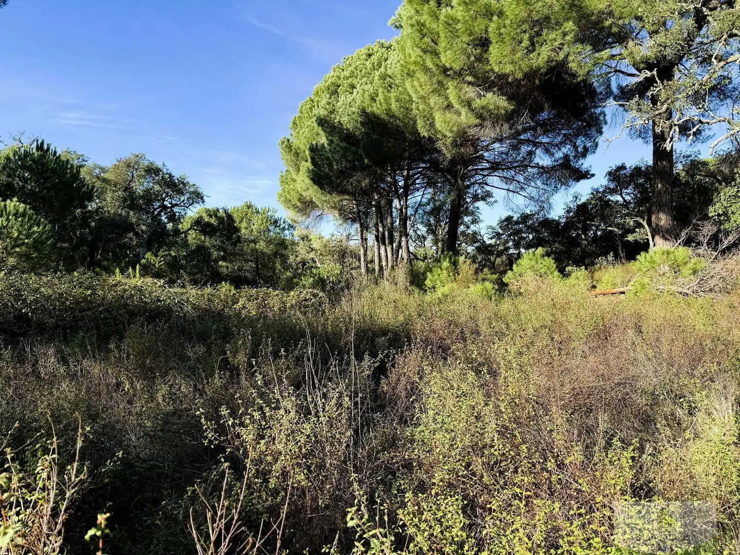 Residencial en venda en Berrocal
