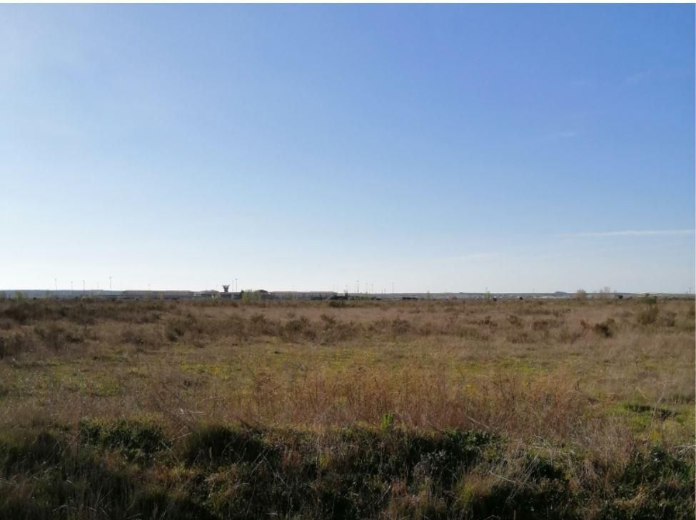 Industrial land for sale in Mansilla de las Mulas
