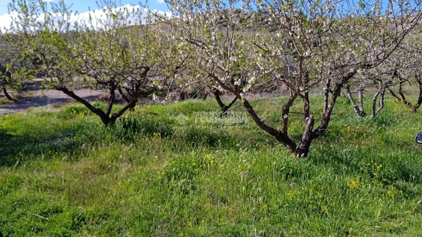Rustikales Grundstück zum Verkauf in Gójar, imagen 10
