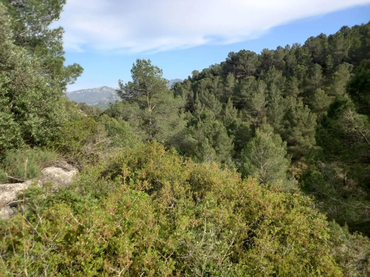 Rural land for sale in El Pinell de Brai, imagen 27
