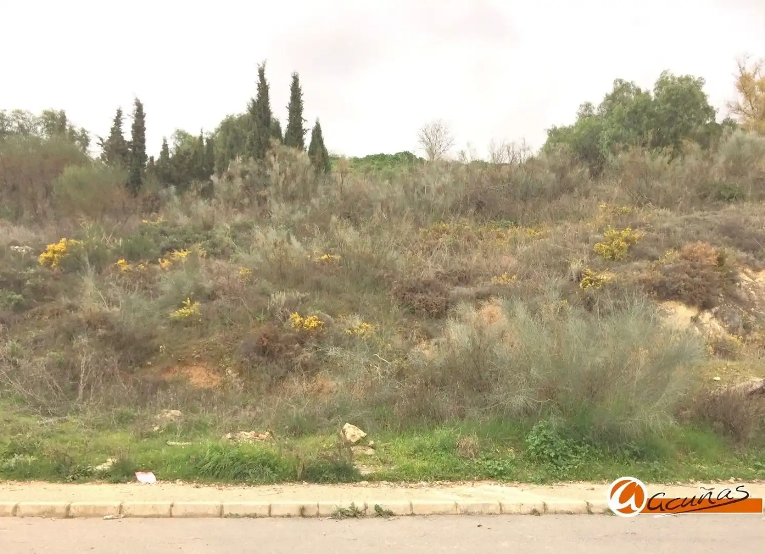 Lands and plots for sale in Fuentemora, imagen 9
