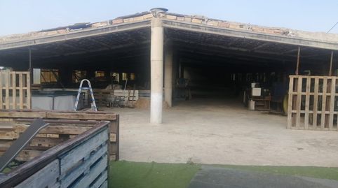 Foto 3 von Grundstücke zum Verkauf in Ulldecona, Tarragona