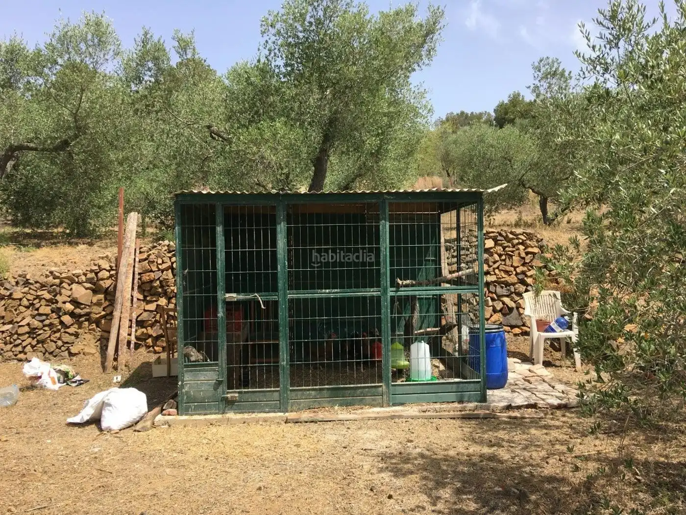 Terreno rustico in vendita a Vial Camino 131, imagen 4