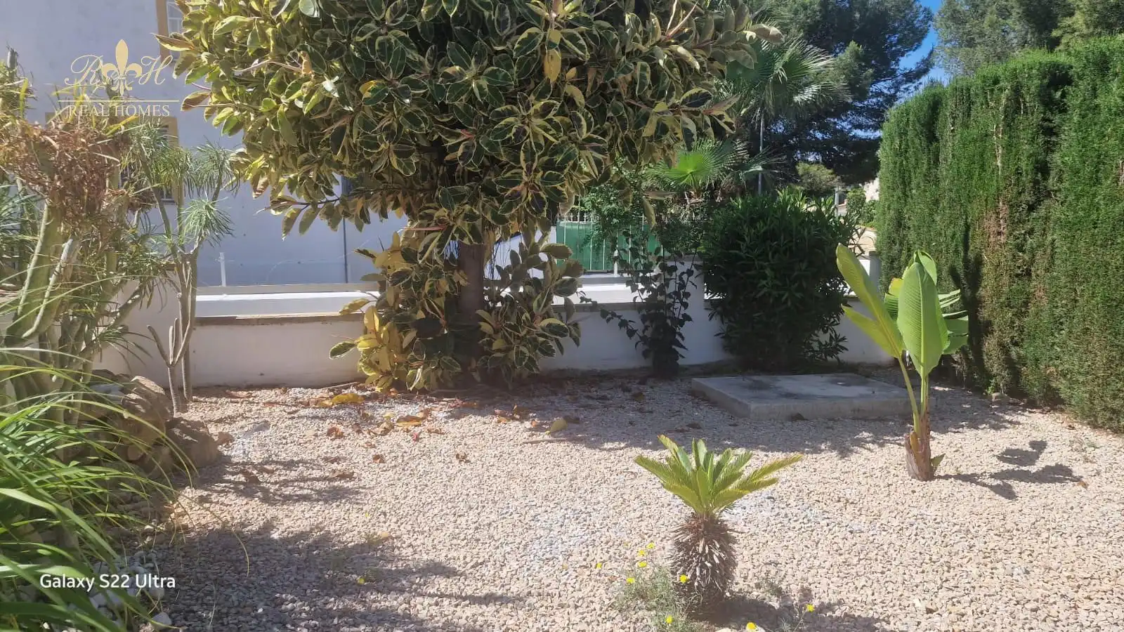 Villa avec piscine à vendre à PINSA, imagen 2
