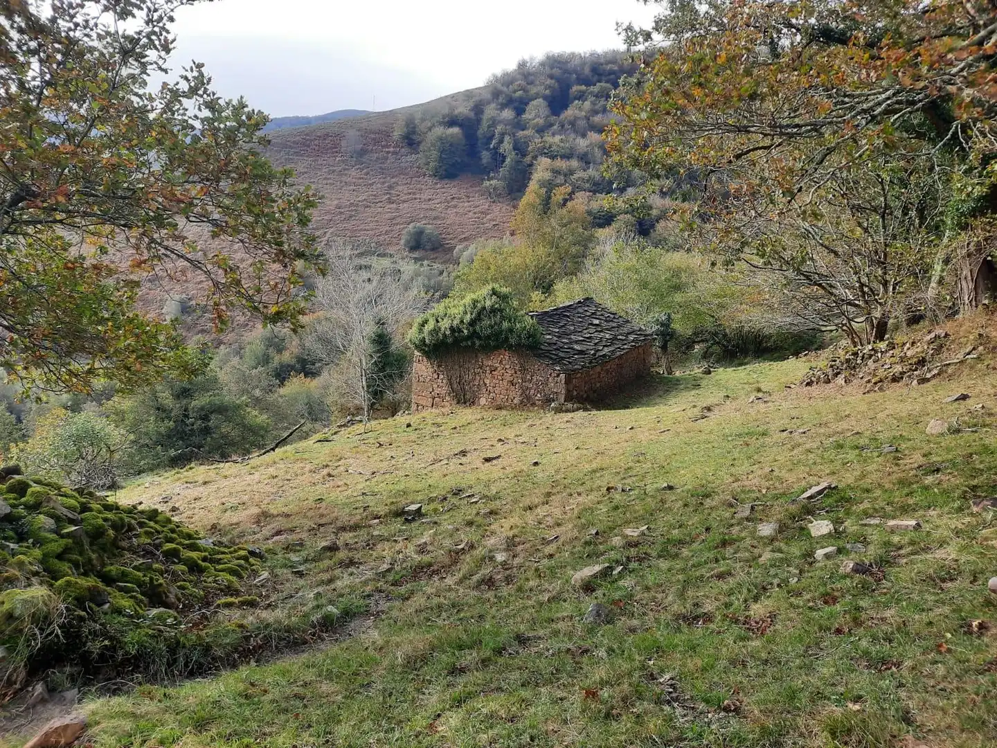Casa rústica en venda a San Pedro del Romeral, imagen 60