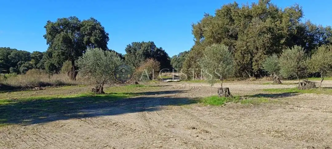 Terreno rústico en venta en Villamanta, imagen 7
