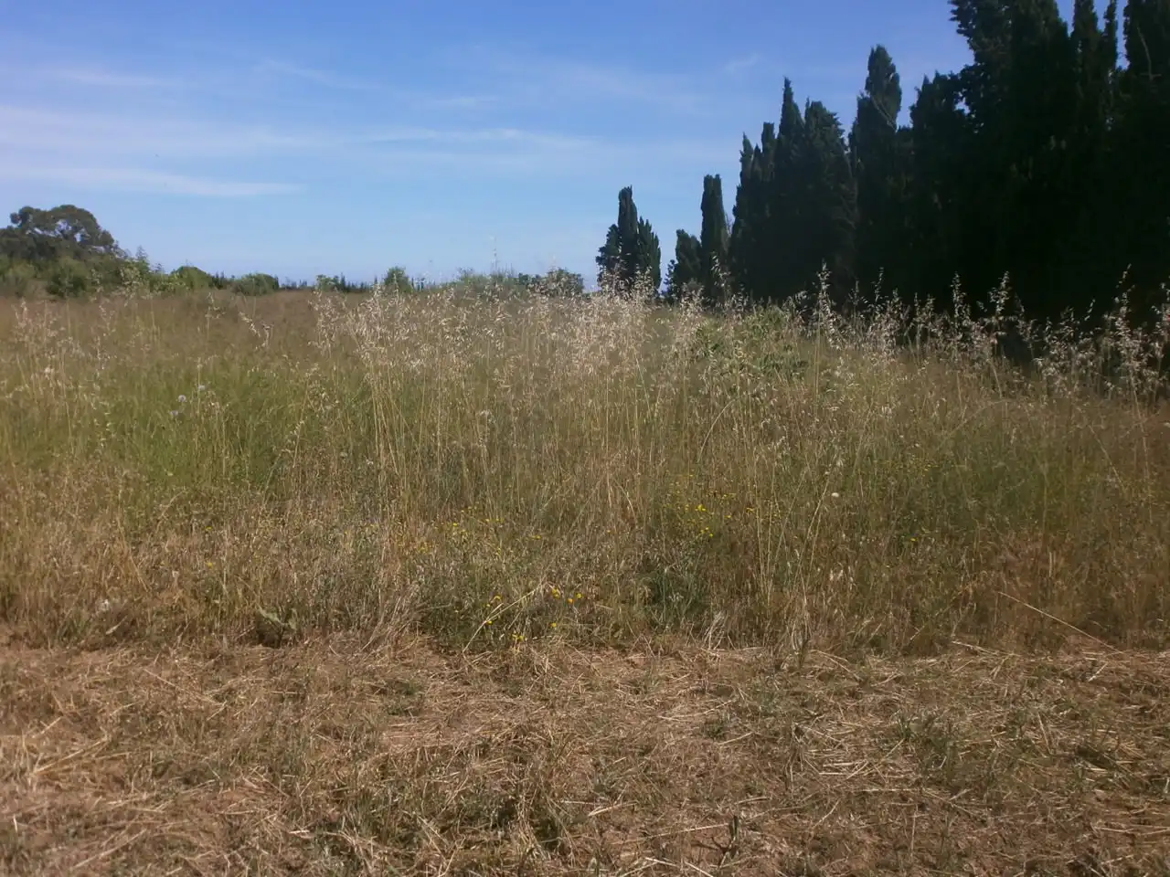 Rural land for sale in Vial Camino 1, imagen 3