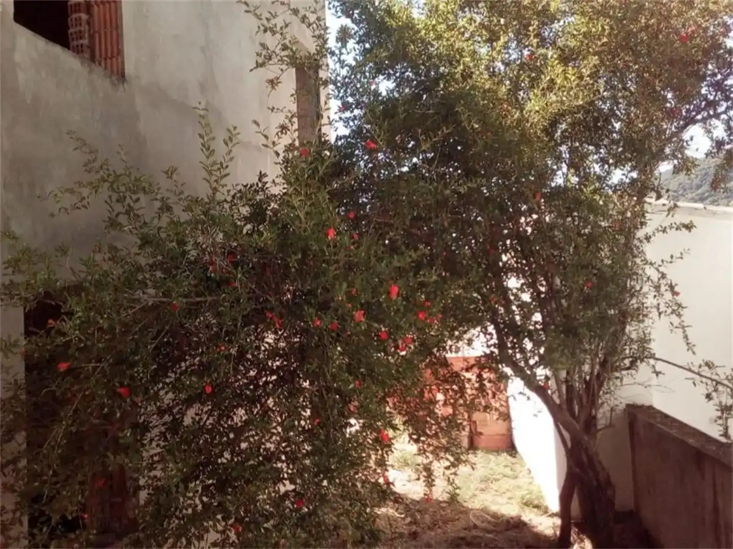 Jardí de Casa o xalet en venda en Cortes de la Frontera amb Jardí privat i Traster