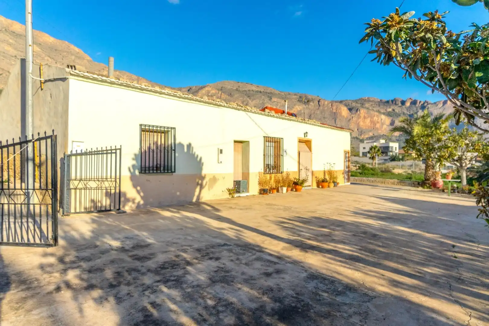 Vista exterior de Finca rústica en venta en Orihuela