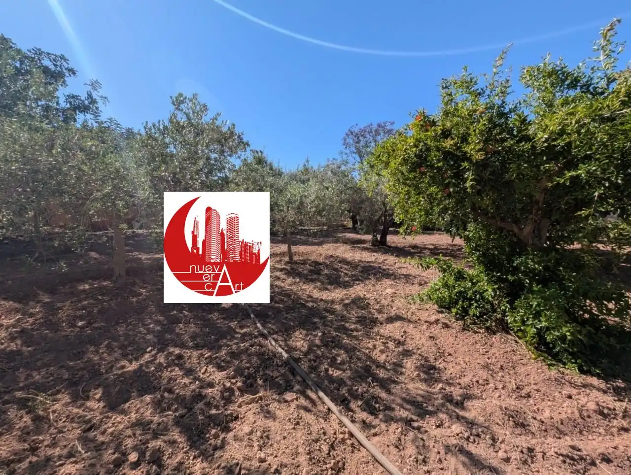 Finca rústica en venda en Fuente Álamo de Murcia