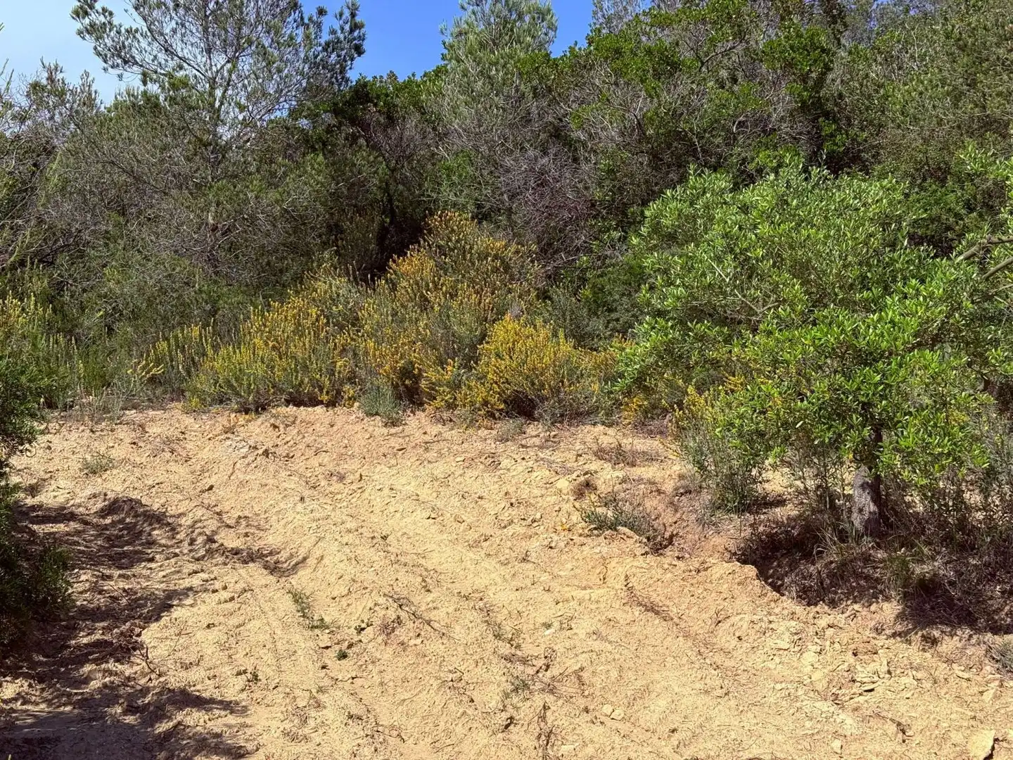 Finca rústica en venda a Vespella de Gaià