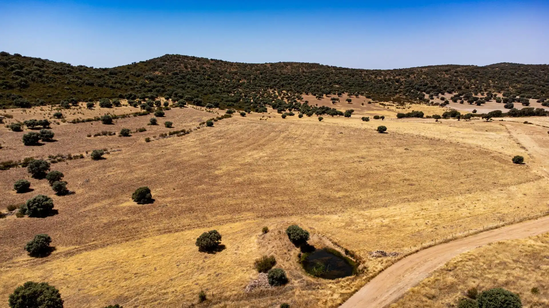 Terreno en venta en Peñarroya-Pueblonuevo