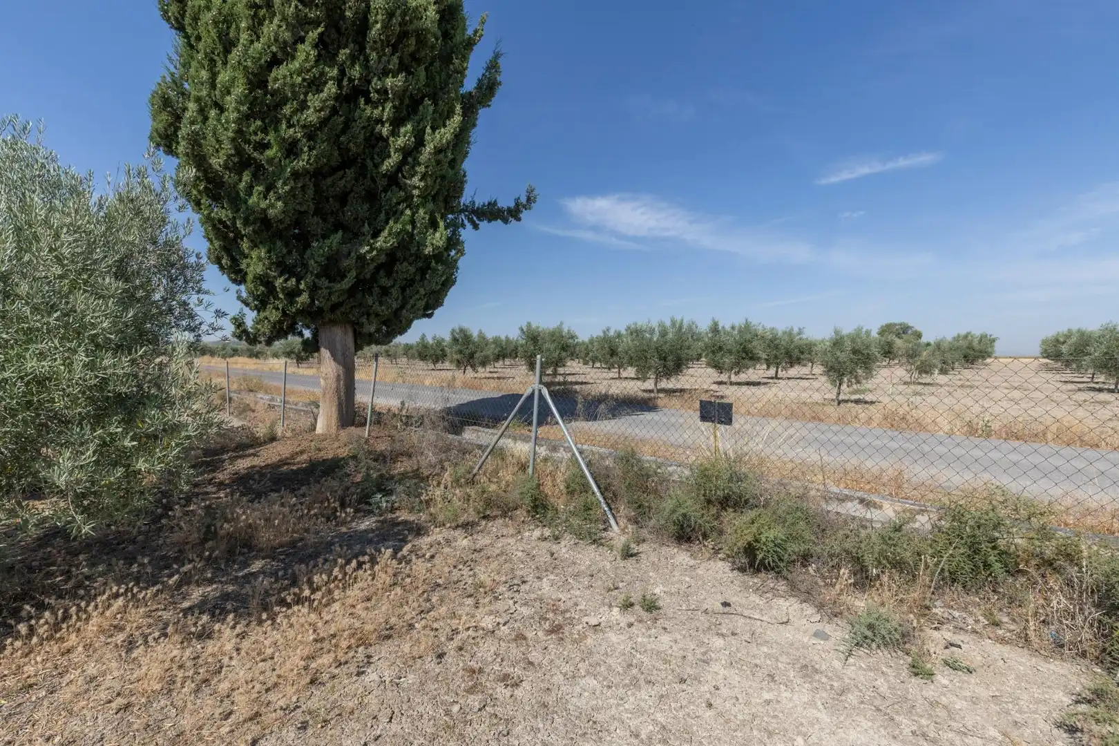 Lands and plots for sale in DISEMINADOS, imagen 7