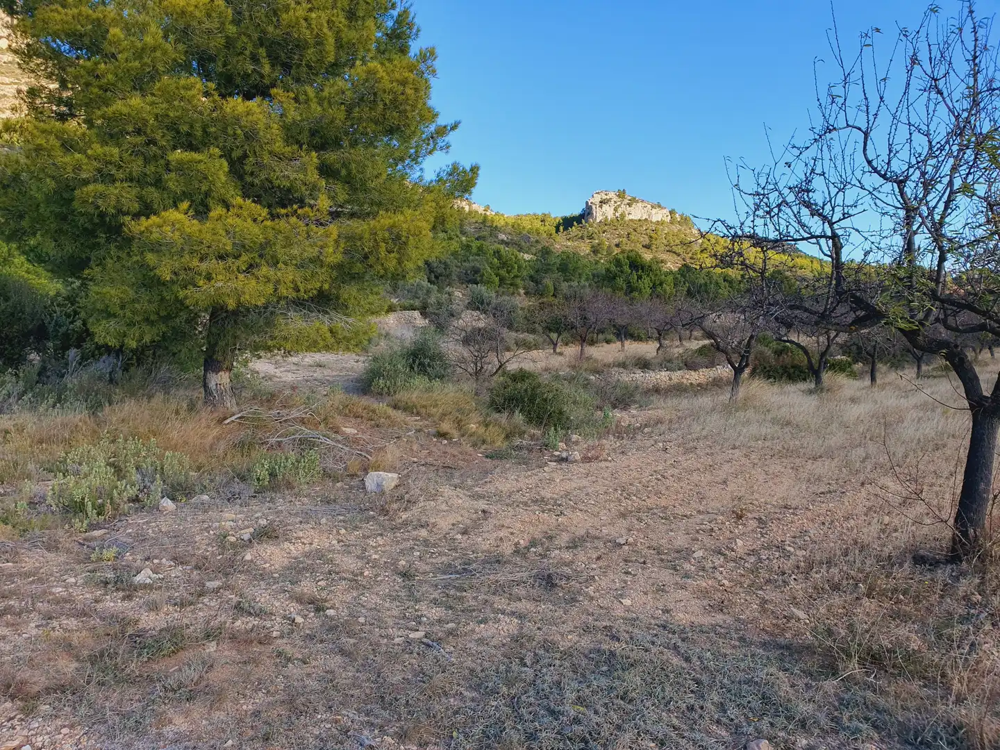 Maison à vendre à El Pinell de Brai, imagen 70