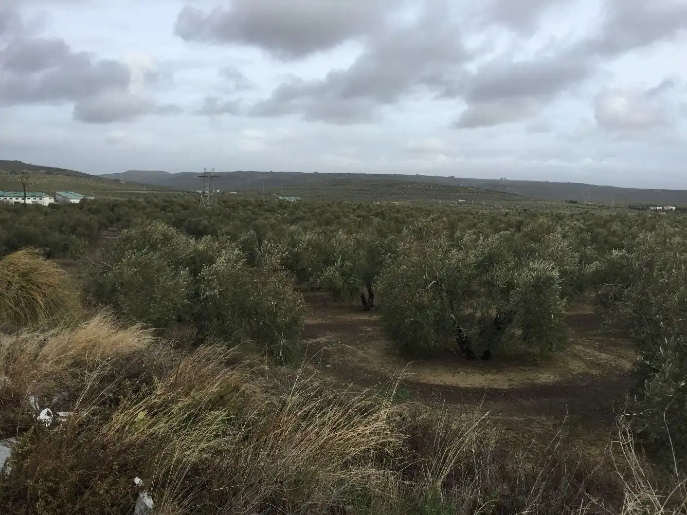 Terrenos y solares en venta en Úbeda, imagen 3