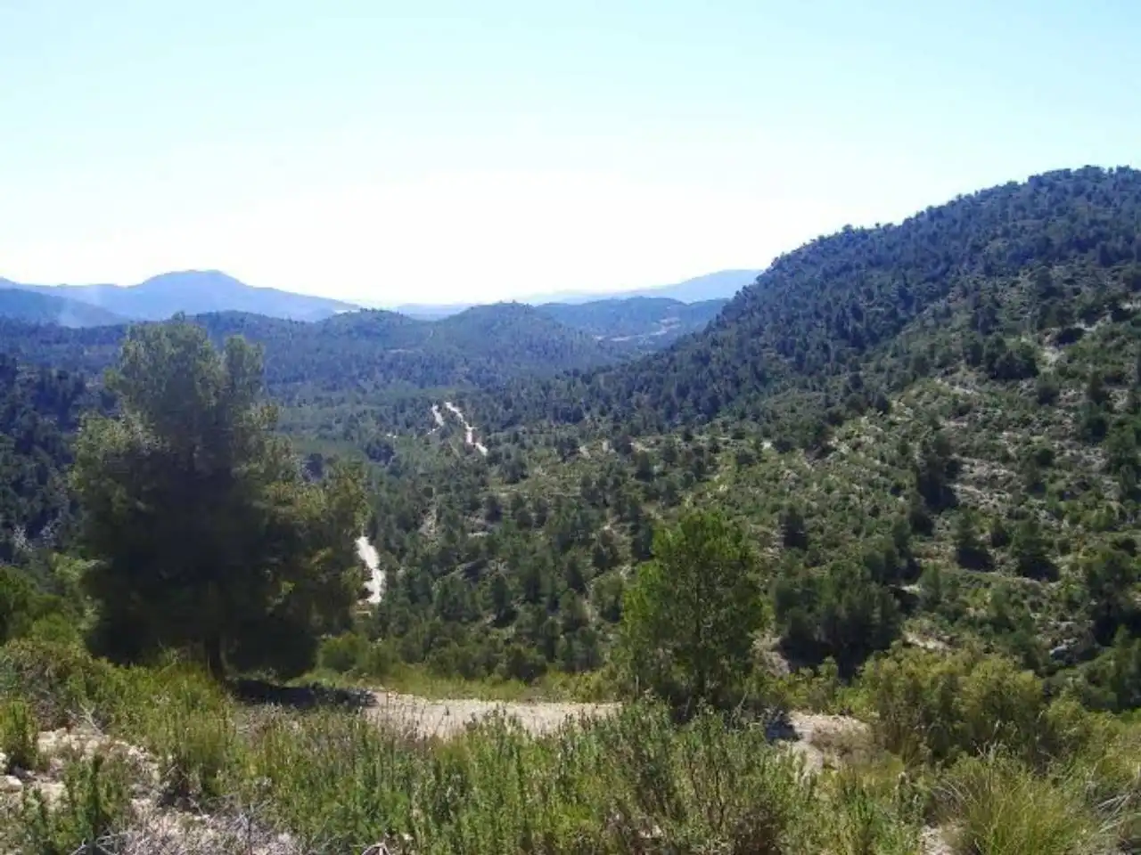 Terrains et parcelles à vendre à Pedanías Norte, imagen 17