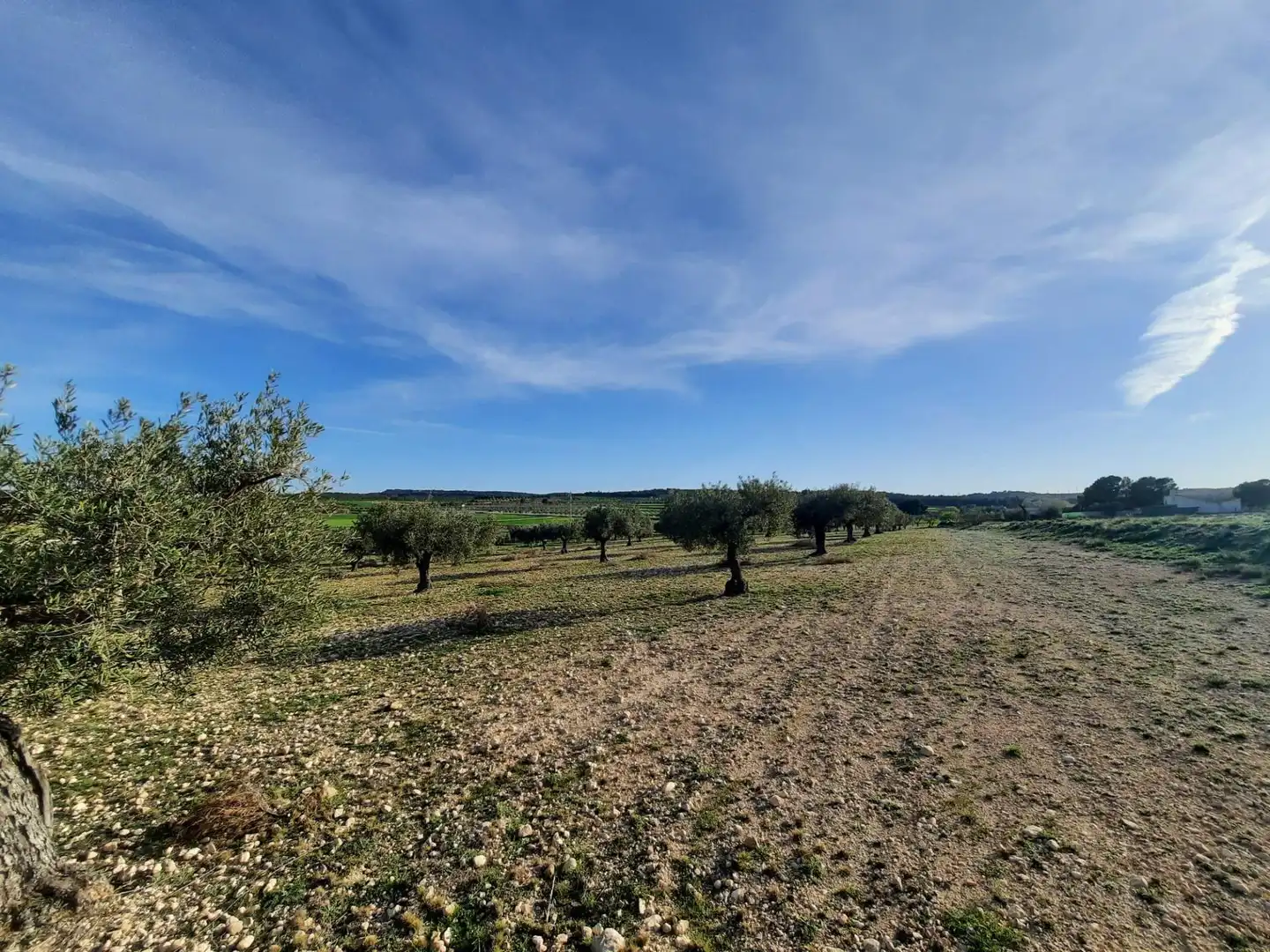 Rustikales Grundstück zum Verkauf in Almansa