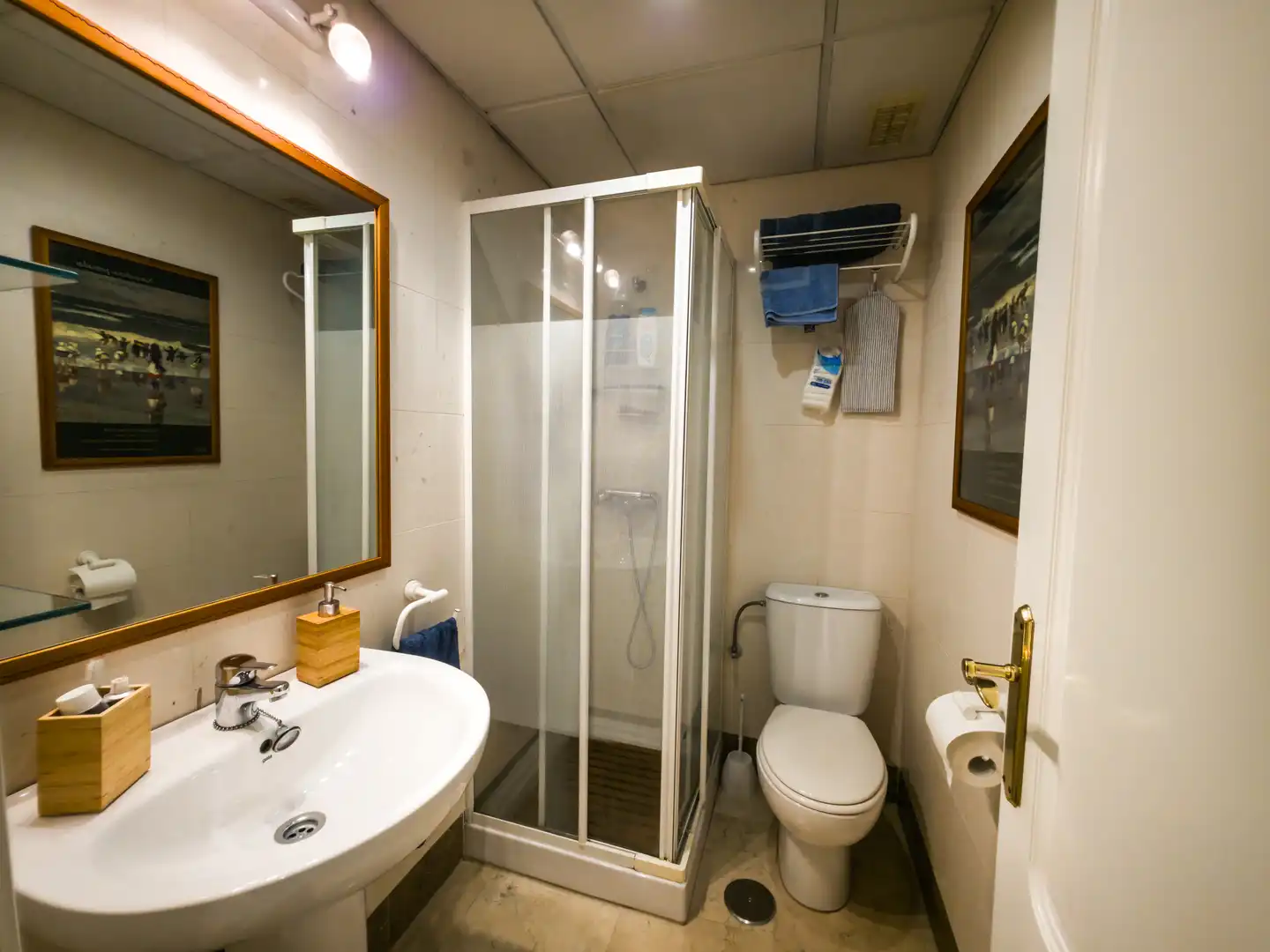 Apartments for sale in Parque María Luisa -Giralda Sur