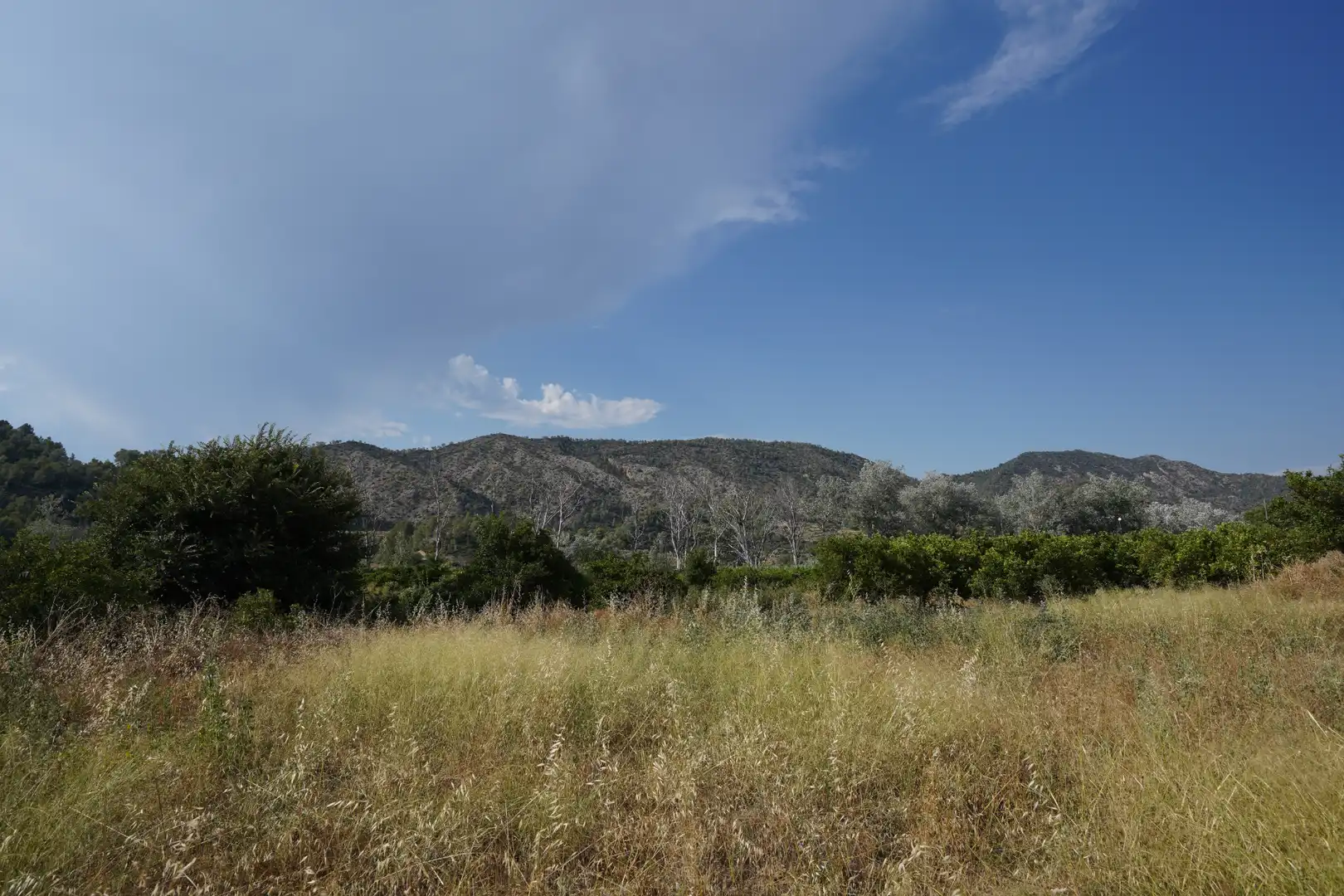 Terrain rustique à vendre à Benifallet, imagen 11