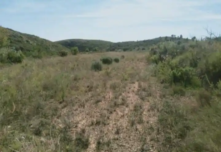 Country homes for sale in Bugarra