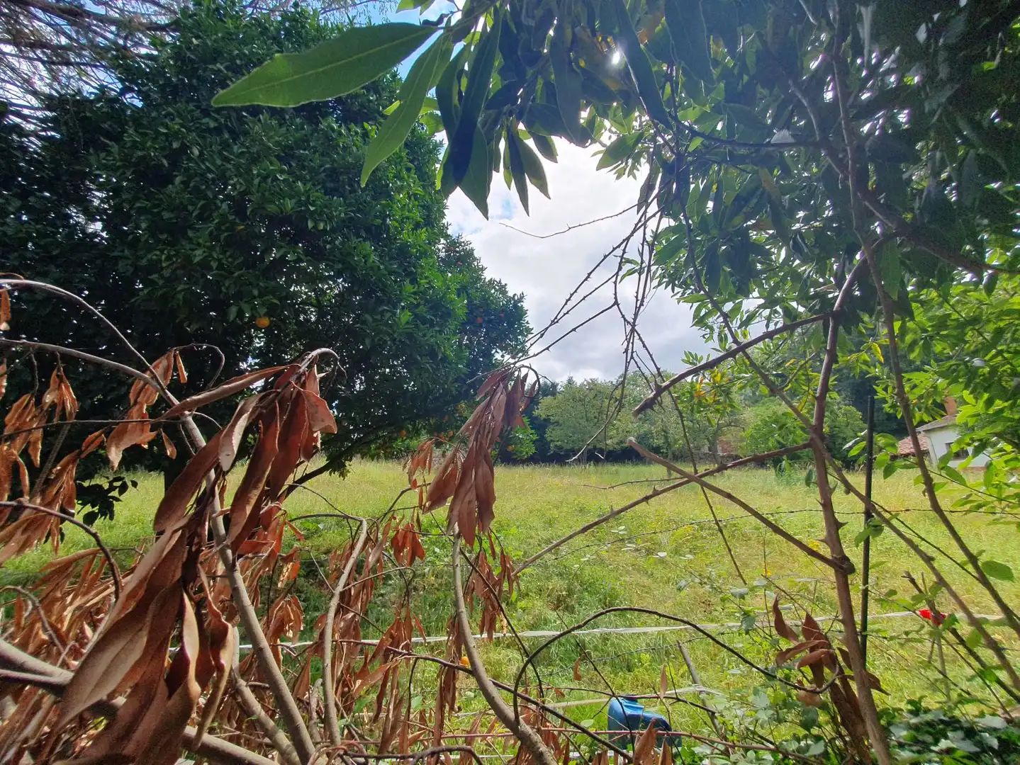 Terrenys i solars en venda a Belmonte de Miranda, imagen 2