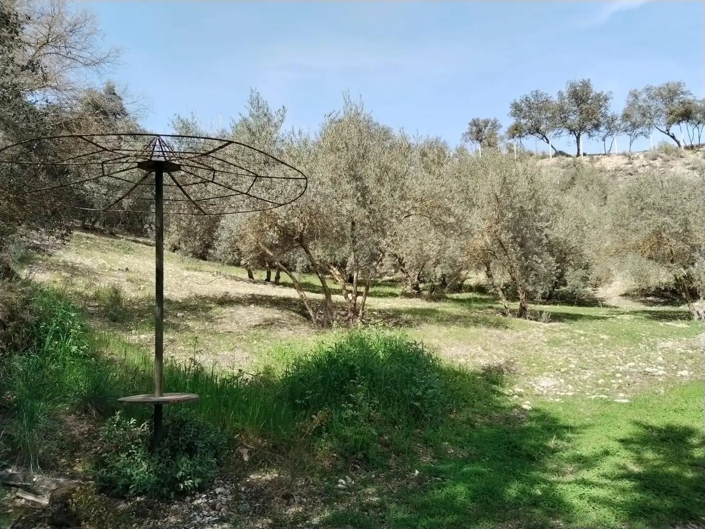 Terreni e lotti in vendita a Atarfe, imagen 8