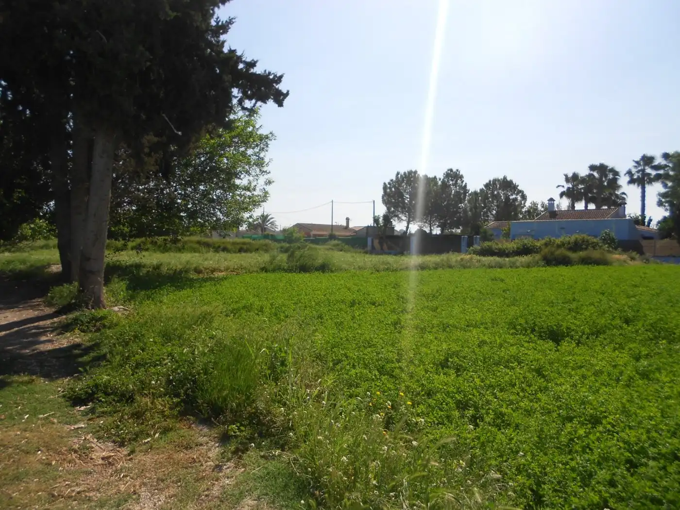 Terreny residencial en venda a El Llano, imagen 3