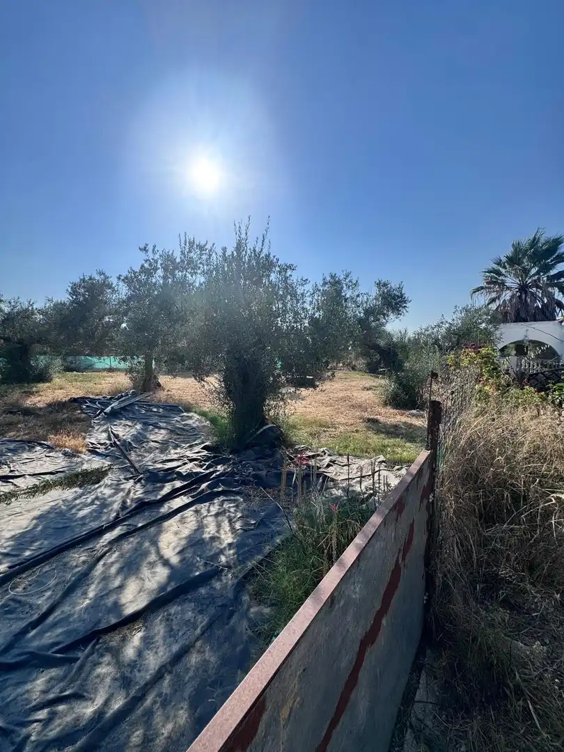 Finca rústica en venda en Utrera