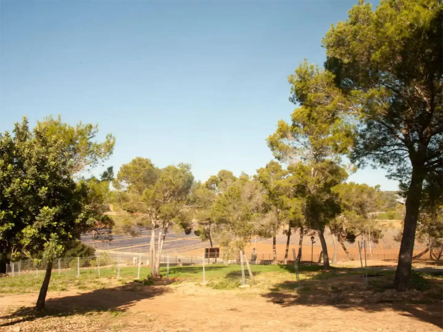 Jardí de Finca rústica en venda en  Palma de Mallorca amb Aire condicionat i Piscina